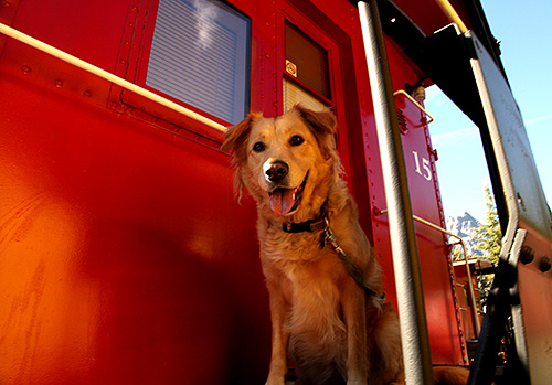 Lucy Railroad Park