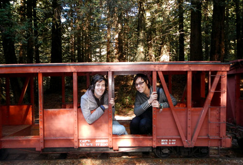 Tilden Steam Train